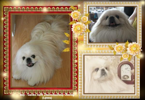 Прикрепленное изображение: post-1010-011293200 1732489095_thumb.jpg